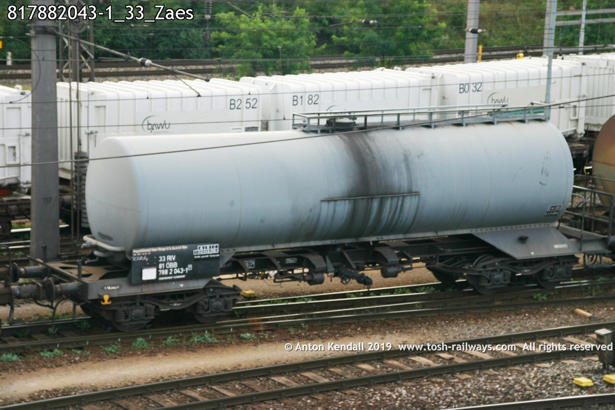 817882043-1_33_Zaes.jpg